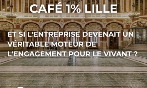 Lille, nous revoilà !