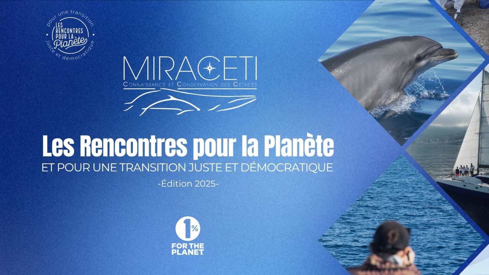 Informer et former pour protéger les cétacés menacés en Méditerranée