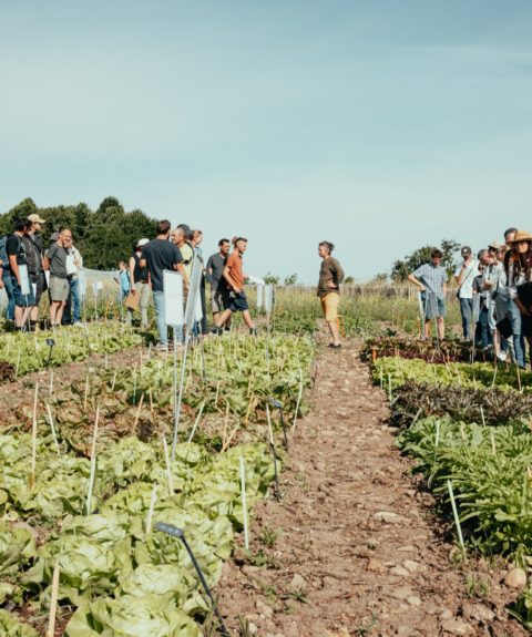 Cultiver l’Avenir : innovation et biodiversité pour une alimentation saine face aux défis climatiques