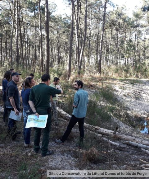 Promouvoir un cadre juridique pour favoriser la libre évolution des espaces naturels en France