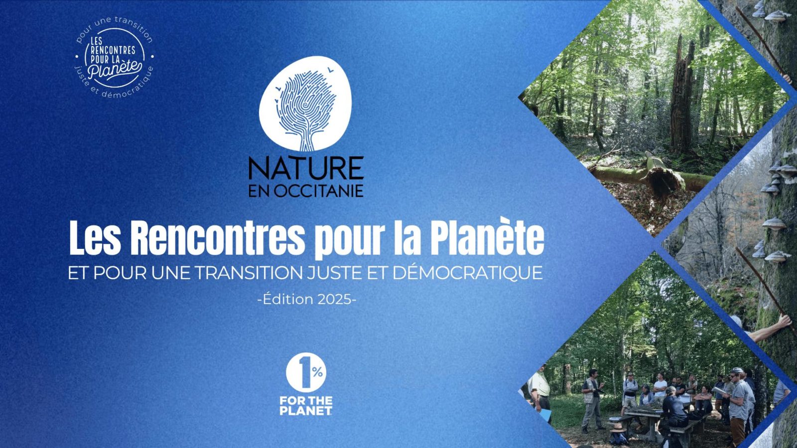 Protéger les vieilles forêts des Pyrénées pour préserver la biodiversité et le climat