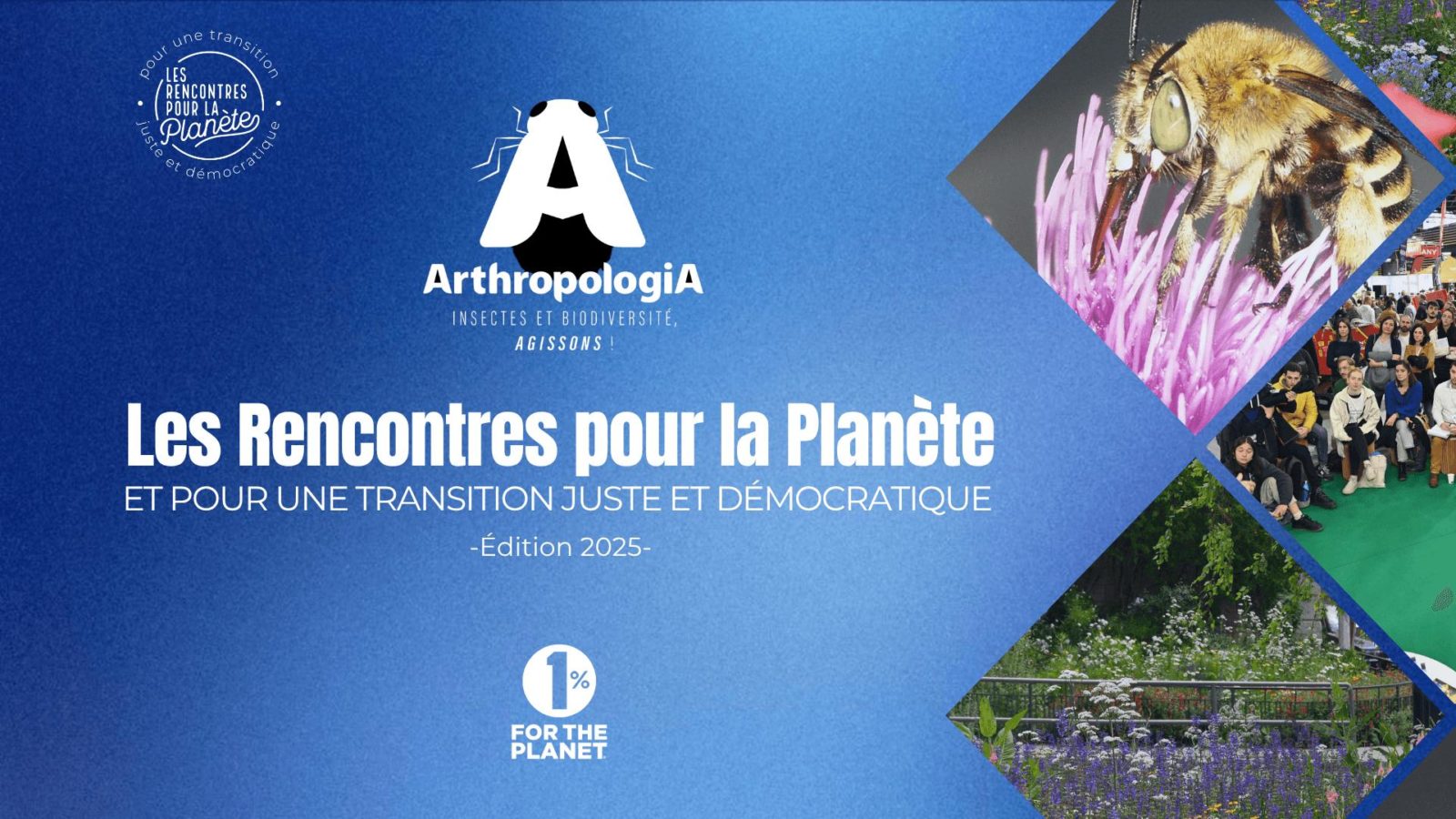 Agir ensemble pour préserver les pollinisateurs