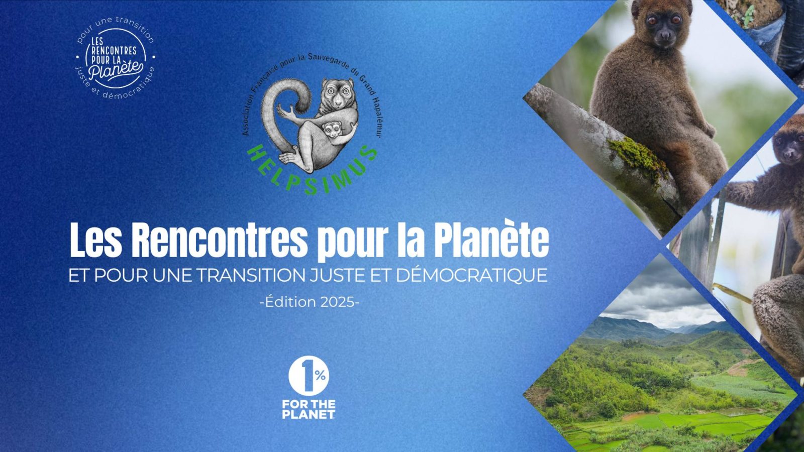 Protéger durablement les grands hapalémurs en développant l’agroforesterie et en restaurant leur habitat