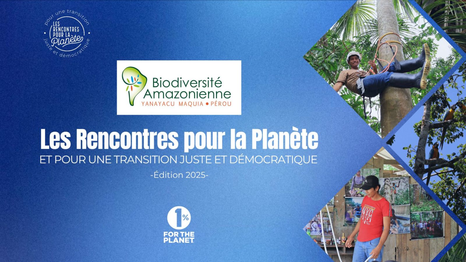 Soutenir la filière écoresponsable de l’aguaje pour protéger les écosystèmes d’Amazonie