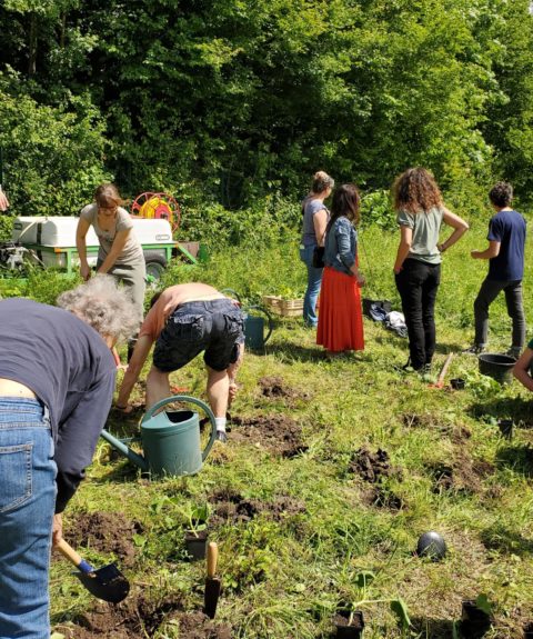 Renforcer l’accès à une alimentation durable par la transmission de pratiques et la production agroécologiques dans les quartiers populaires