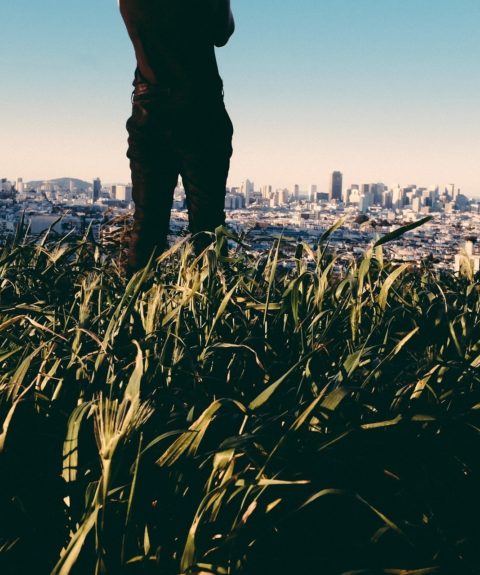 Réorienter les financements des acteurs privés en faveur de la transition agroécologique