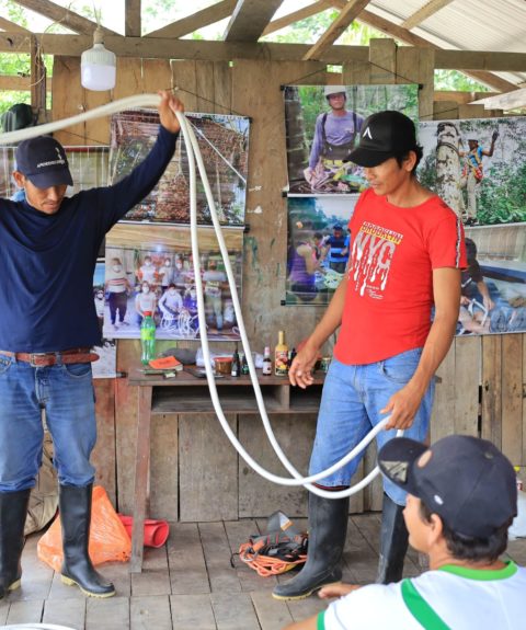 Soutenir la filière écoresponsable de l’aguaje pour protéger les écosystèmes d’Amazonie