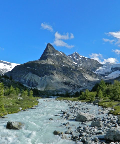Protéger les glaciers et les écosystèmes post-glaciaires pour préserver l’habitabilité de nos territoires