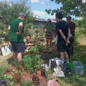 Végétaliser l’espace public en ville, entre voisin·es avec et sans domicile