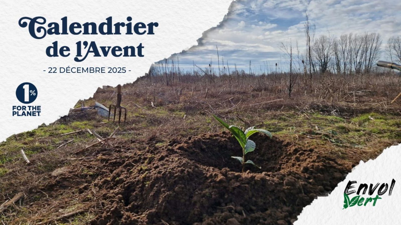 Promouvoir l’agroforesterie solidaire pour renforcer la résilience et la biodiversité agricole tarnaise