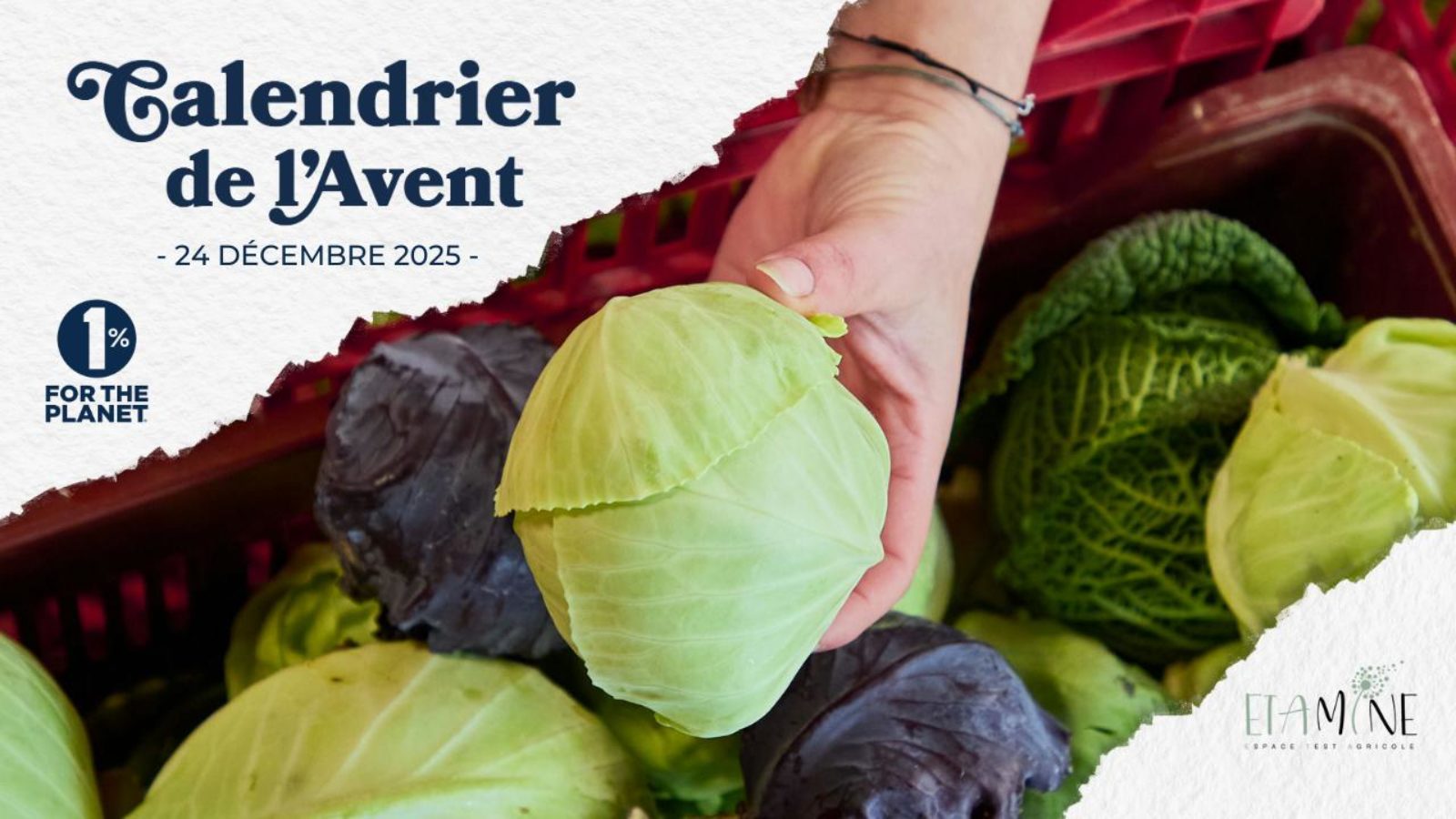 Former et Produire pour une Alimentation Durable : Educultive.