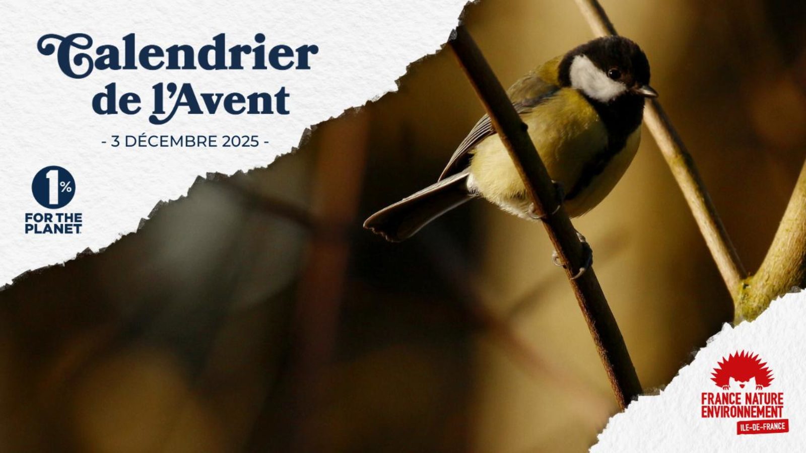 Enrayer le déclin de la biodiversité et bâtir des territoires résilients