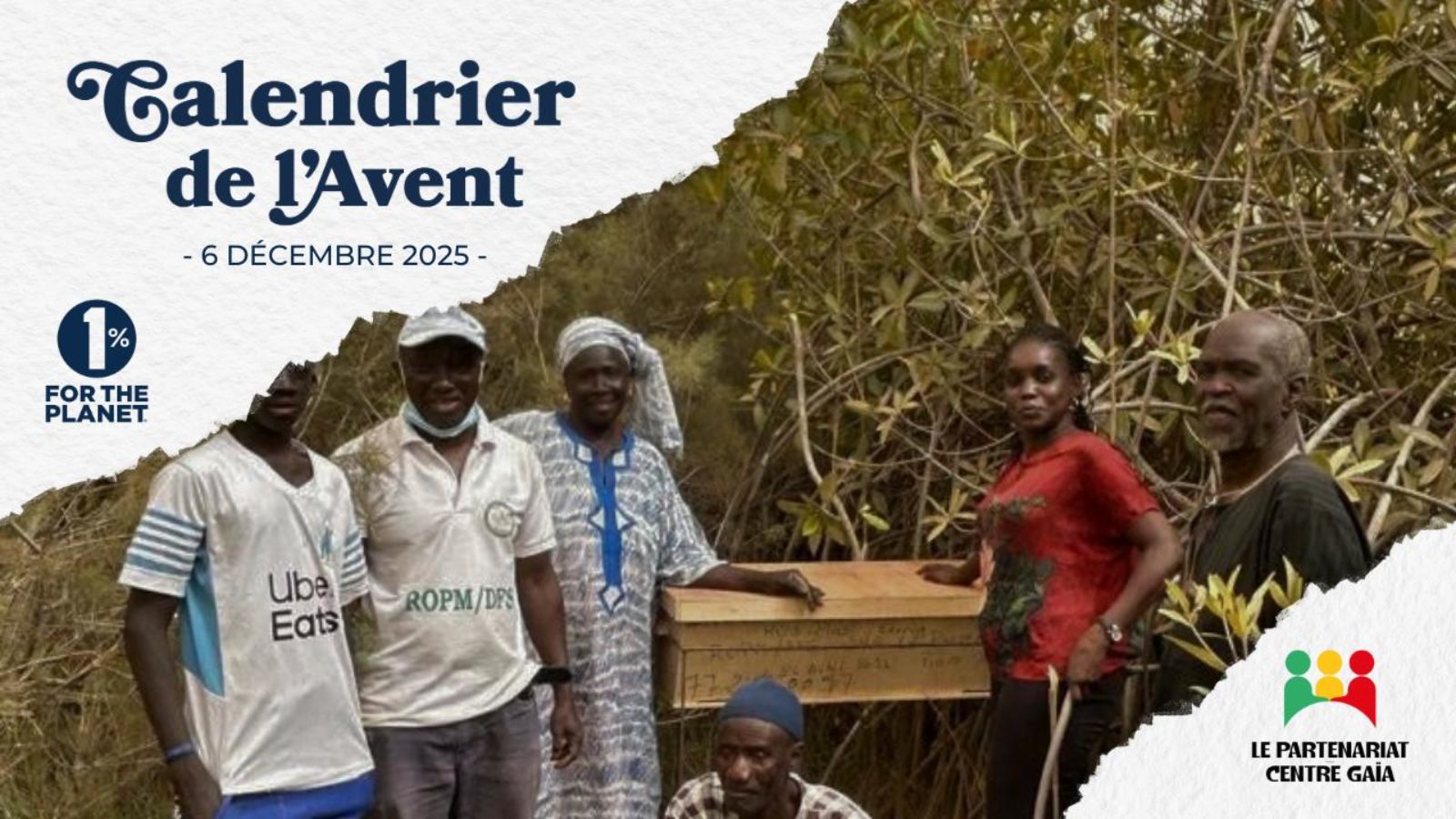 Protéger et restaurer les mangroves à Saint-Louis
