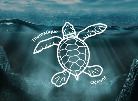 Protection des océans : agir concrètement avec 1% for the Planet France