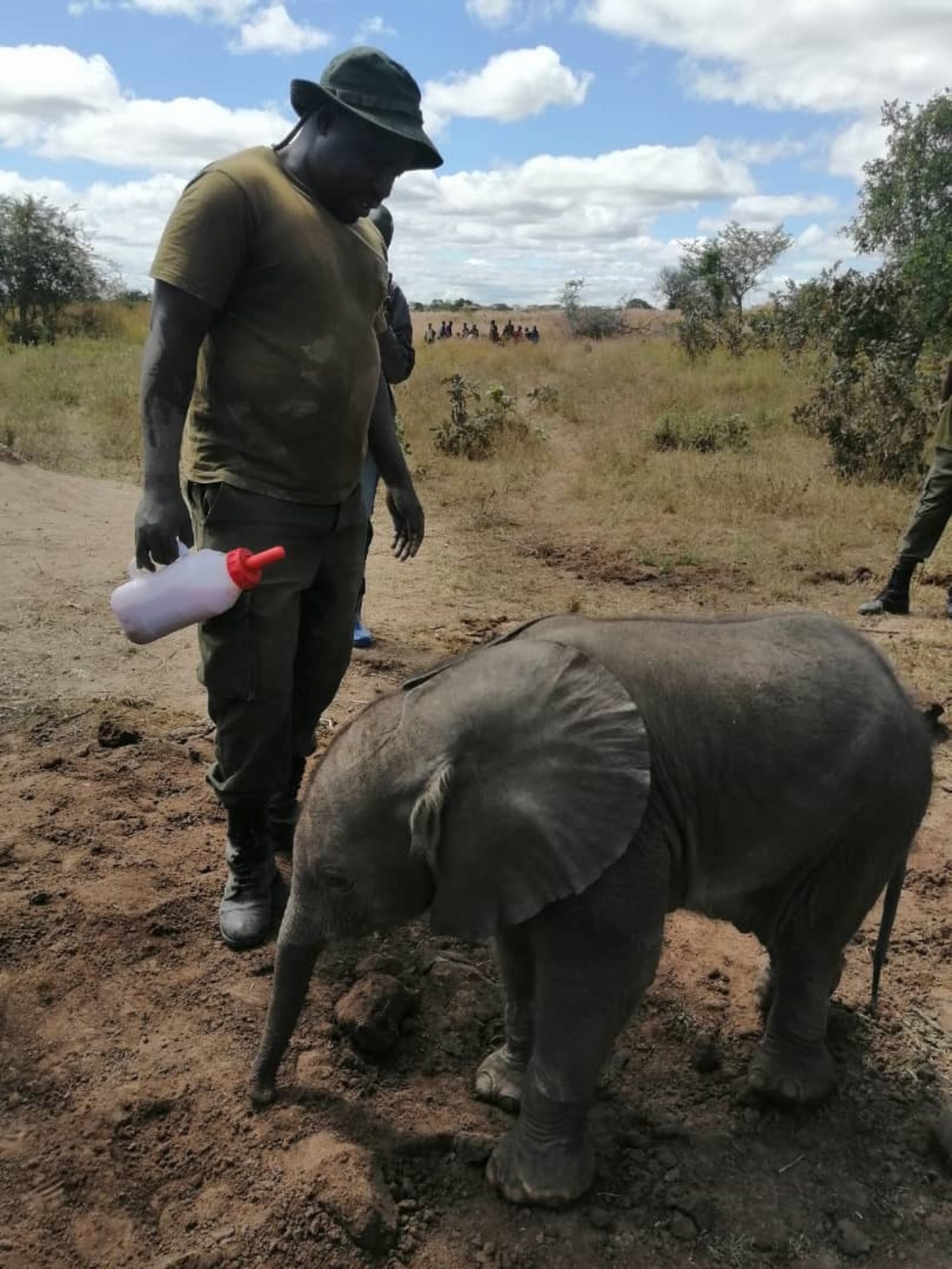 Agir pour les géants de la savane : former ceux qui veillent à leur survie !