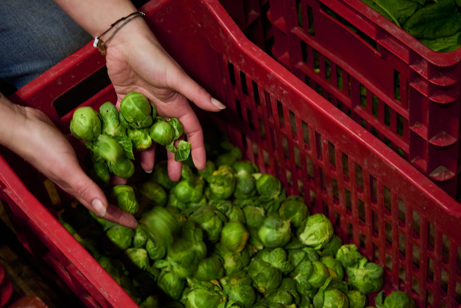 Former et Produire pour une Alimentation Durable : Educultive.