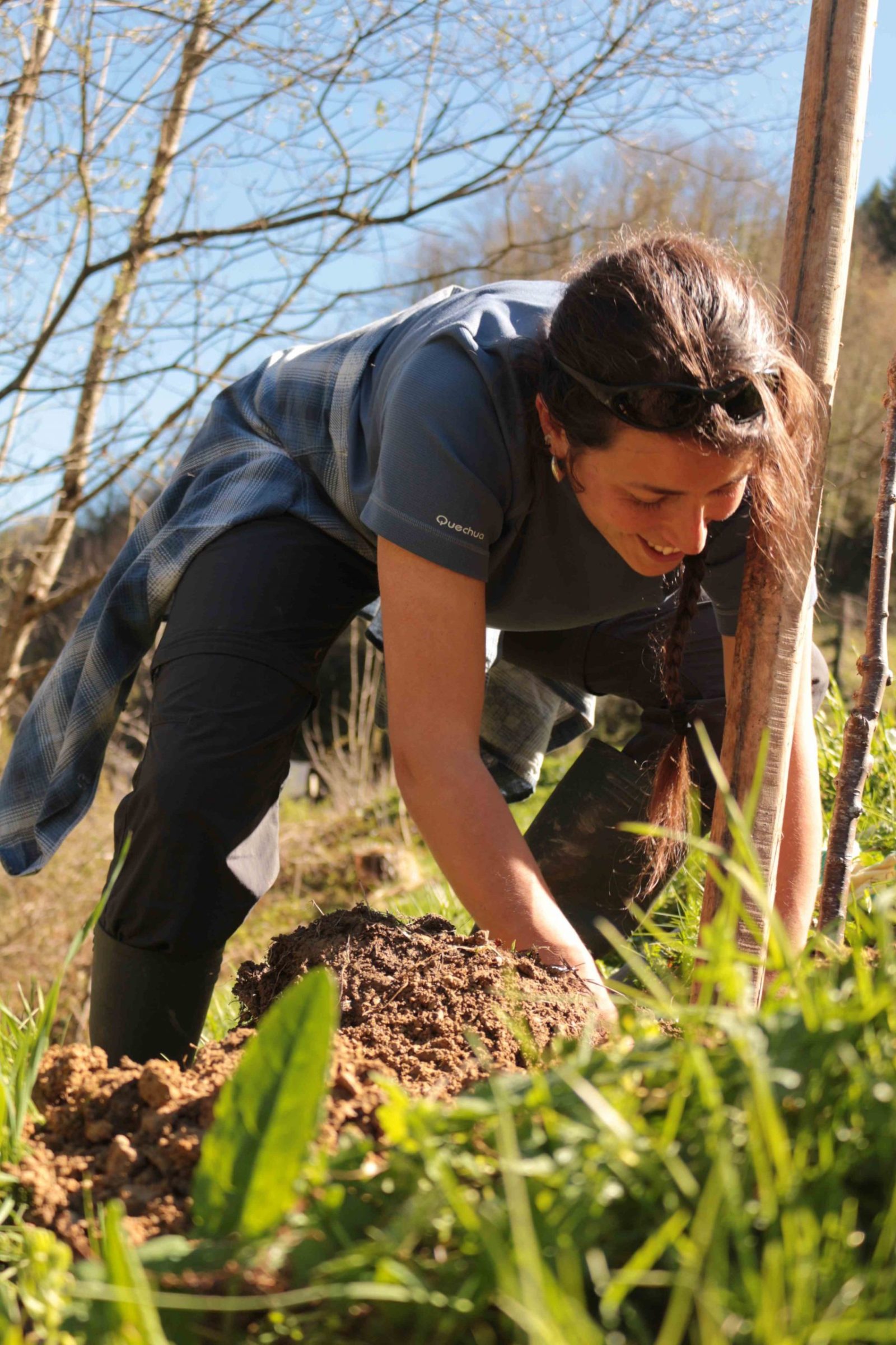 Planter des arbres fruitiers pour la sauvegarde des ours pyrénéens