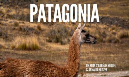 Afterwork 1% et projection