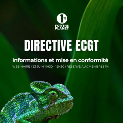 Webinaire – Directive ECGT
