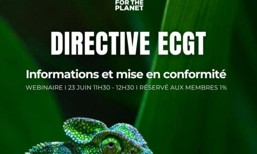 Webinaire – Directive ECGT