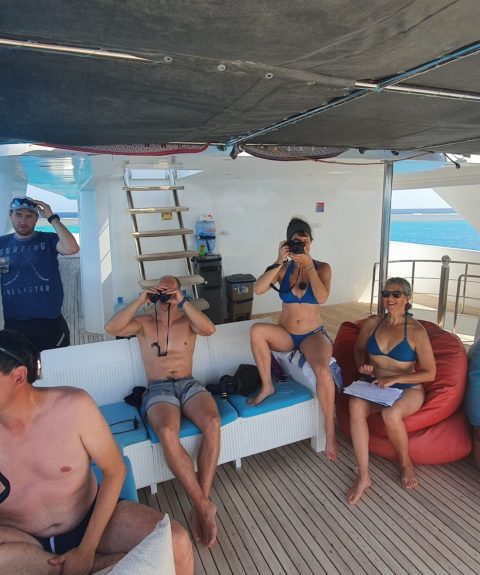 Encadrer l&rsquo;explosion du tourisme dans le lagon de Sataya pour assurer la survie des dauphins résidents