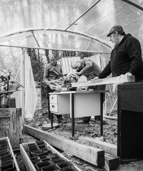 Développer des jardins thérapeutiques pour améliorer la santé et l&rsquo;écologie durable