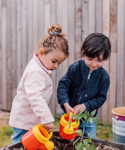 Améliorer la santé environnementale des jeunes enfants par la réduction des pollutions, la recherche et les expériences de nature