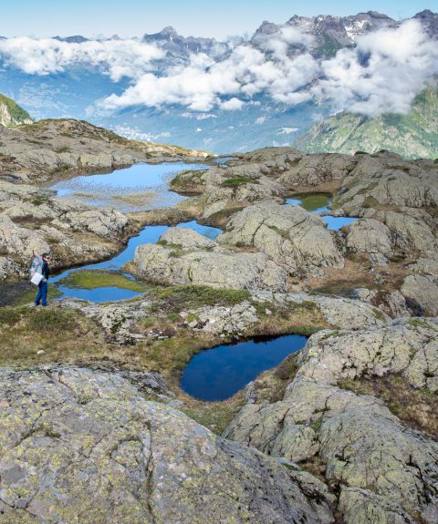Renforcer la protection des mares d&rsquo;altitude pour assurer un refuge durable à la faune