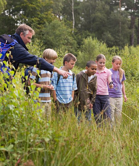 Apprendre avec la nature : former les enseignants à l&rsquo;école du dehors pour reconnecter les enfants à la nature