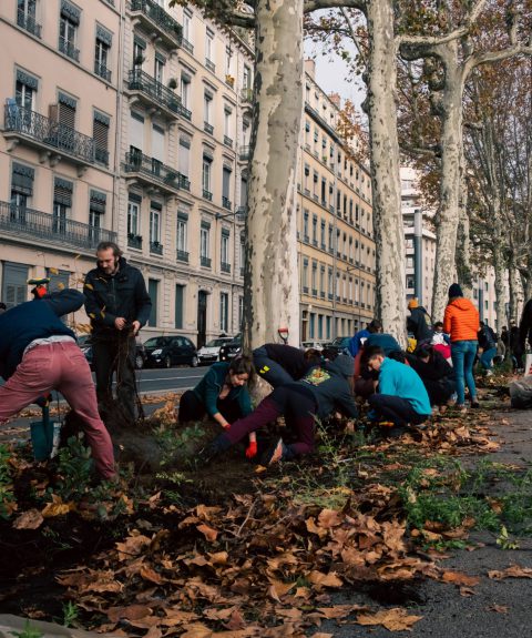 Les challenges biodiversité : agir à son échelle pour la biodiversité en ville
