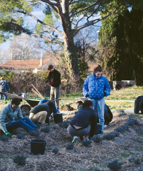 Susciter des vocations agricoles chez les jeunes pour prendre la relève !