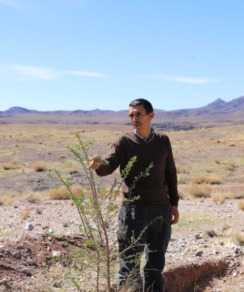 Préserver la biodiversité du Massif du Siroua au Maroc : pratiques ancestrales et hydrologie régénérative face aux défis climatiques