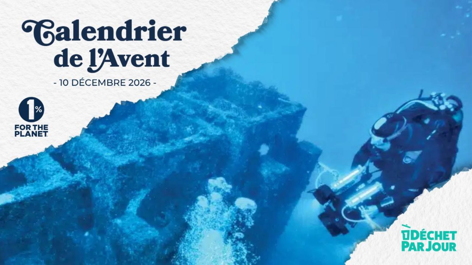 Restaurer la biodiversité marine à Marseille grâce à des récifs en tuiles recyclées