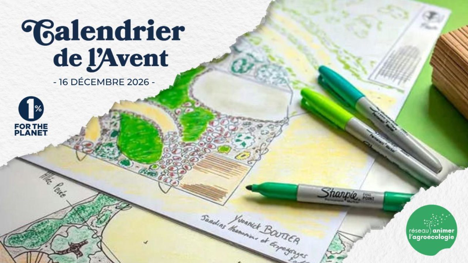 Accompagner un réseau de jeunes créateurs de projets de végétalisation de leur école pour s’adapter au changement climatique