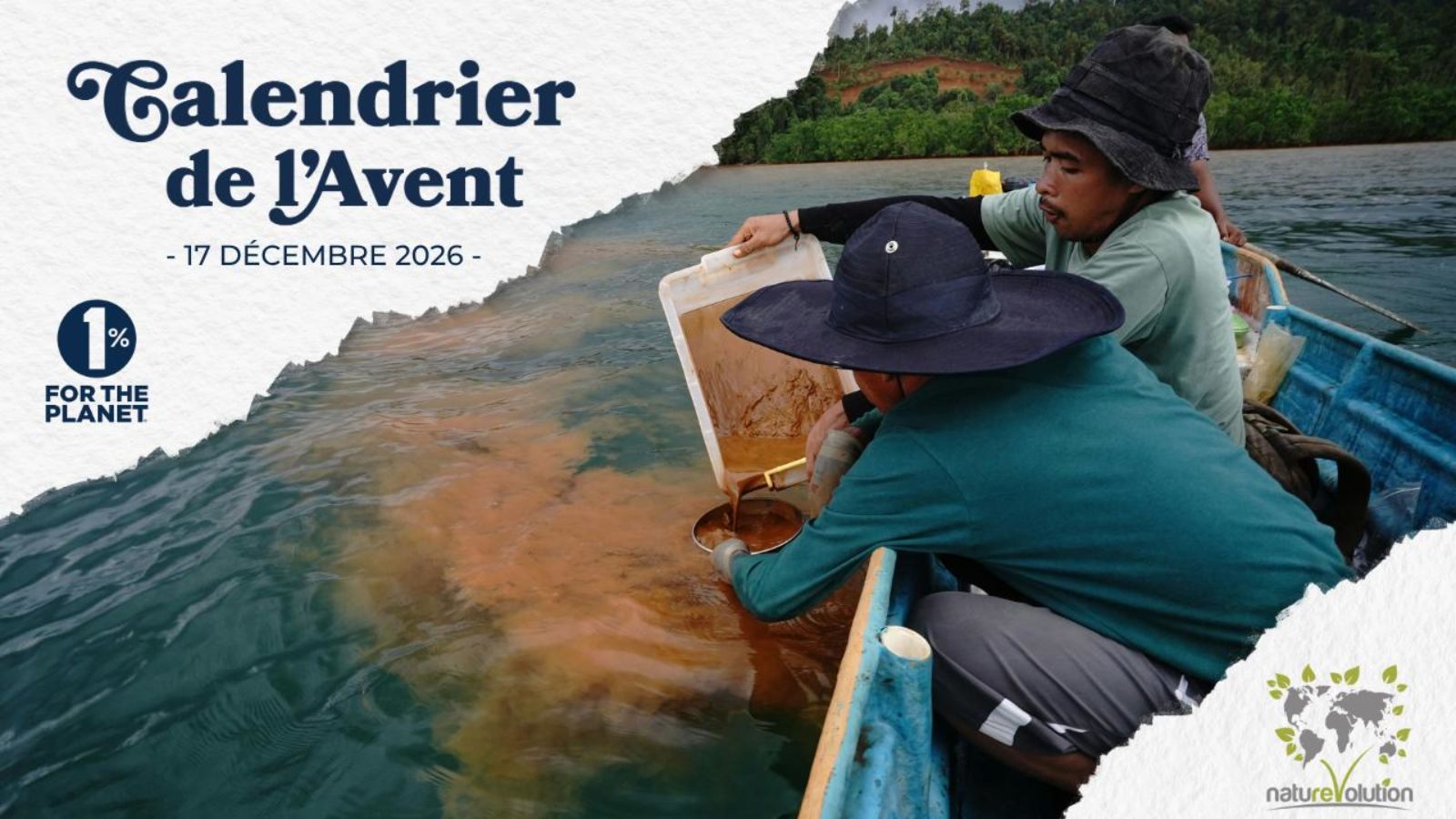Classer 6000 km² de forêt primaire à Sulawesi pour préserver l’ensemble du Vivant des impacts de l’exploitation minière