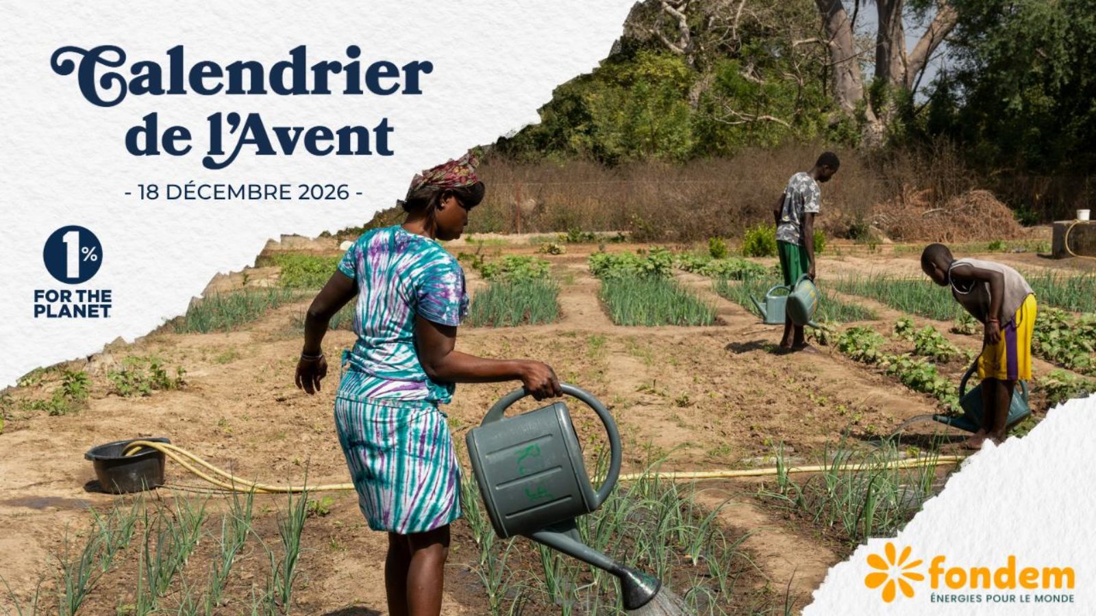 Développer le maraîchage durable au Sénégal grâce aux énergies renouvelables (SEMER)