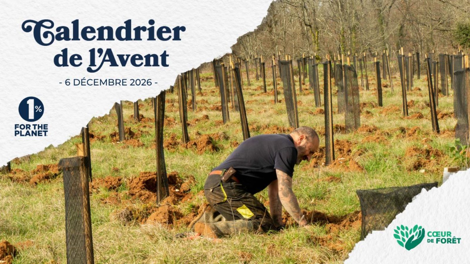 Restaurer les forêts des Cévennes pour préserver la biodiversité face à l&rsquo;exploitation intensive