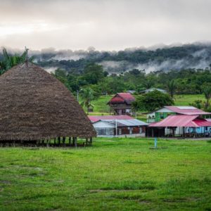 Renforcer l&rsquo;autonomie des communautés du Haut-Maroni pour suivre les impacts de l&rsquo;orpaillage sur les écosystèmes et préserver leur territoire