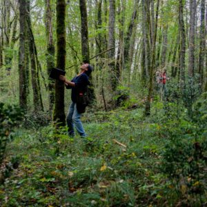 Restaurer les forêts des Cévennes pour préserver la biodiversité face à l&rsquo;exploitation intensive