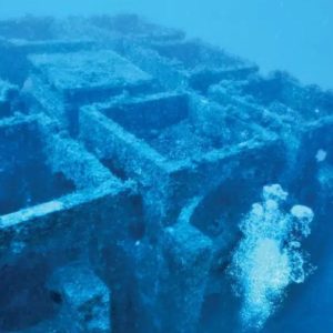 Restaurer la biodiversité marine à Marseille grâce à des récifs en tuiles recyclées