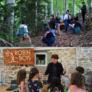 Acquérir et protéger des forêts du Pilat pour préserver la biodiversité et les écosystèmes