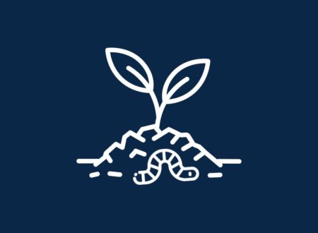 Agriculture et sols vivants : pourquoi la santé des sols est devenue un enjeu majeur pour notre agriculture et notre avenir ?