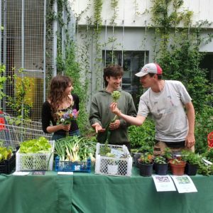 Renforcer la résilience alimentaire dans les quartiers populaires à Paris et en Ile de France