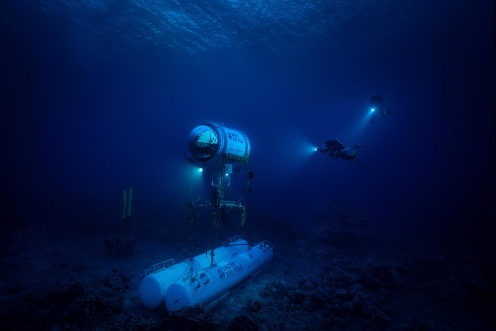 DeepLife : Explorer et protéger les forêts animales marines