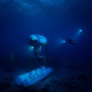DeepLife : Explorer et protéger les forêts animales marines