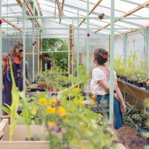 Encourager l&rsquo;insertion sociale par la culture de plantes locales et écologiques en ville